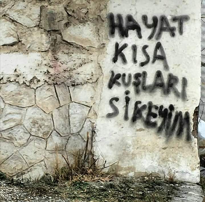 HAYAT KISA KUŞLARI SİKEYİM