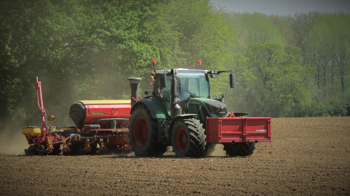 tim_agri's tweet photo. Drilling maize over at @Holkham in the glorious sunshine a few weeks back. #maize #drilling #farming #holkhamestate https://t.co/o8PGsbGlBu