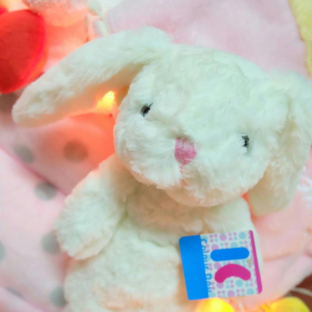 madolls_store's tweet photo. กระเป๋าดินสอ #RabbitWhite
ขนาดจากหูถึงเท้า 40 cm
ใบละ 189
📮 ลทบ. 30, ems 50
Line : @kuo3572e (มี@)
หรือ DM เลยค่ะ https://t.co/ysCx6flsGU