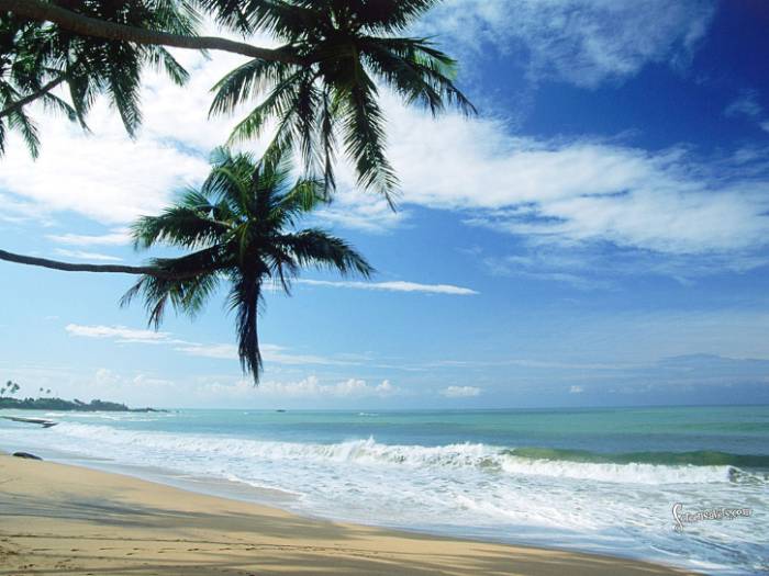 Hafid_91's tweet photo. #Pantai Indah https://t.co/Vfob2fKHrb https://t.co/SRYDVUvxF6