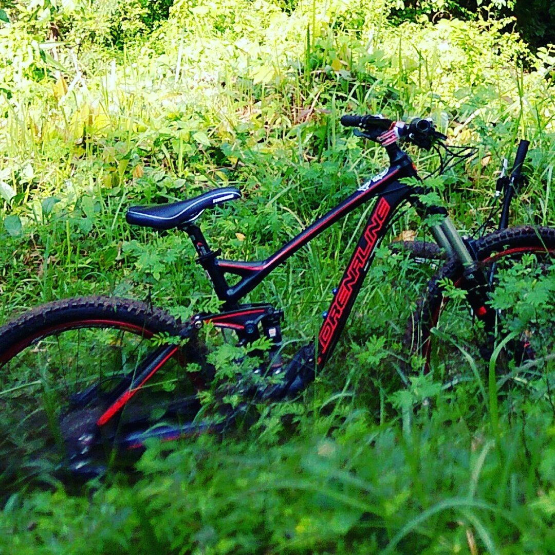 Main lumpur lg bareng <a href="/Aline/">Aline Reydon</a>