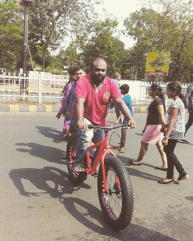 raleigh big sam price