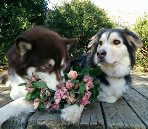 Elverojaguar's tweet photo. https://t.co/SaqvsrQWtu