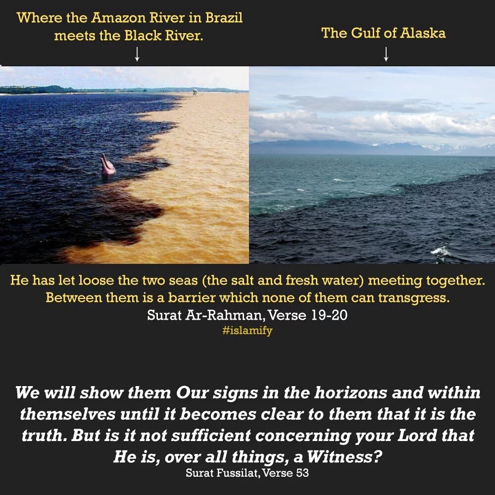 LaraibNeyazi's tweet image. #MuslimBecause Allah has placed clear signs that he has perfected #Islam for us.