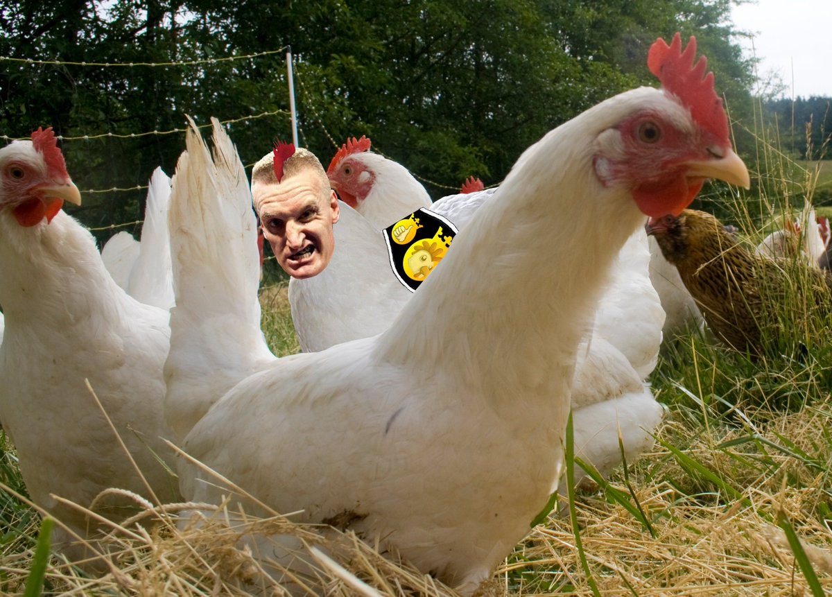 Julius Long tweet media