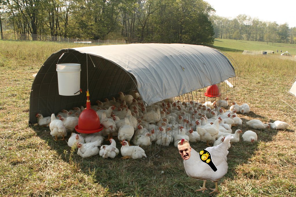 Julius Long tweet media