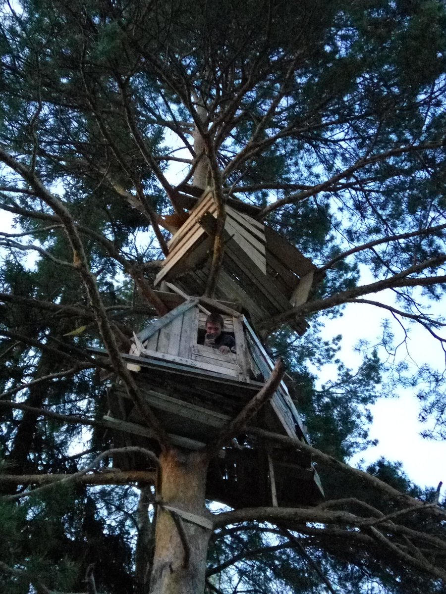 Vanya_Pryanya's tweet image. Всегда мечтал о таком) #домикнадереве