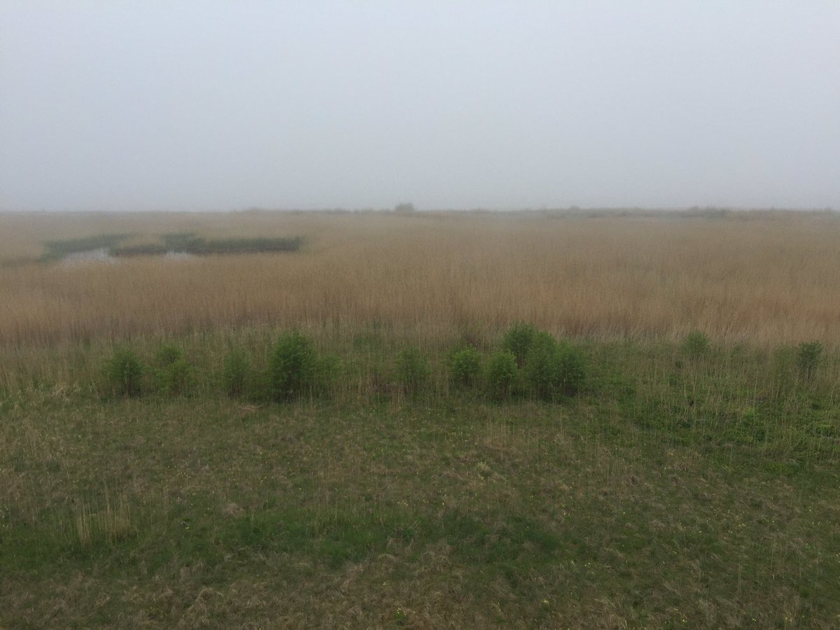 Jūru vairs neredzam. Migla. #TornuCinas