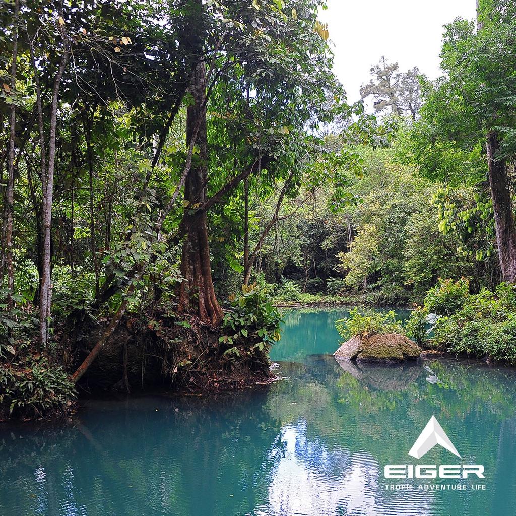eigeradventure's tweet photo. Selamat Hari Keanekaragaman Hayati, mari kita jaga &amp; lestarikan keanekaragaman hayati yg kita miliki #EigerAdventure https://t.co/5n7cZUYphe
