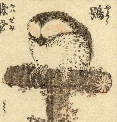葛飾北斎が描いたフクロウです。目をつぶって寝ているのでしょうか