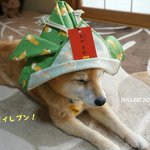 真田丸 第二十回 石田治部株がストップ高 今年の大河は西軍が勝つ かも 前兆 みんなの感想 補足tlまとめ Togetter 真田丸 第二十回 石田治部株がストップ高 今年の大河は西軍が勝つ かも 前兆 みんなの感想 補足tlまとめ Togetter