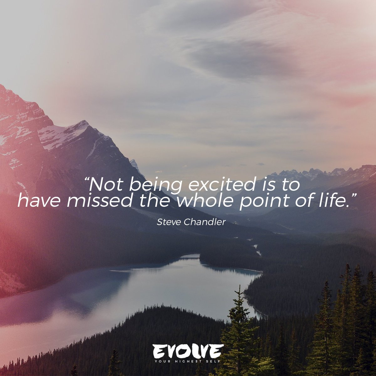 evolveswap818's tweet image. 