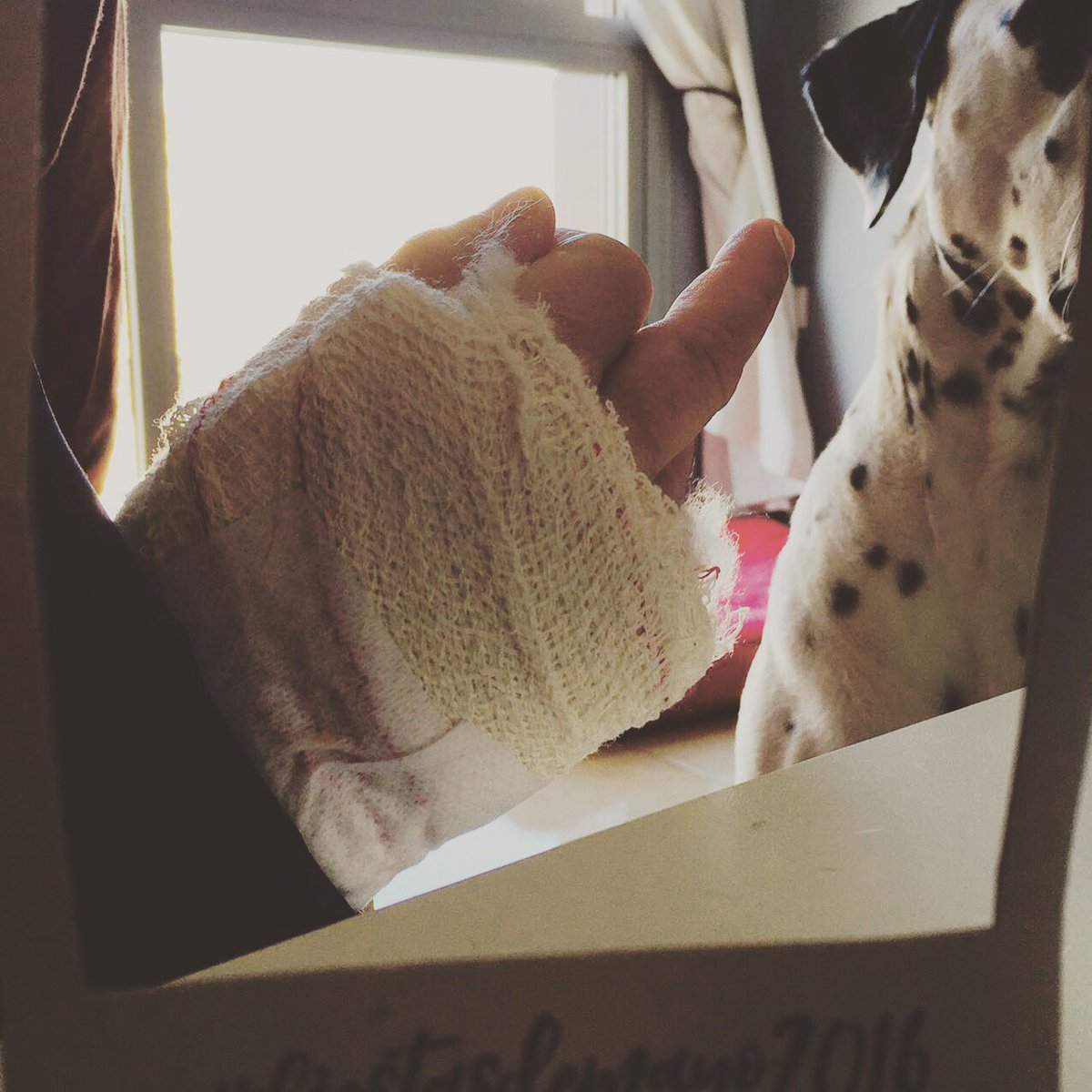 Irene.Fer. tweet media