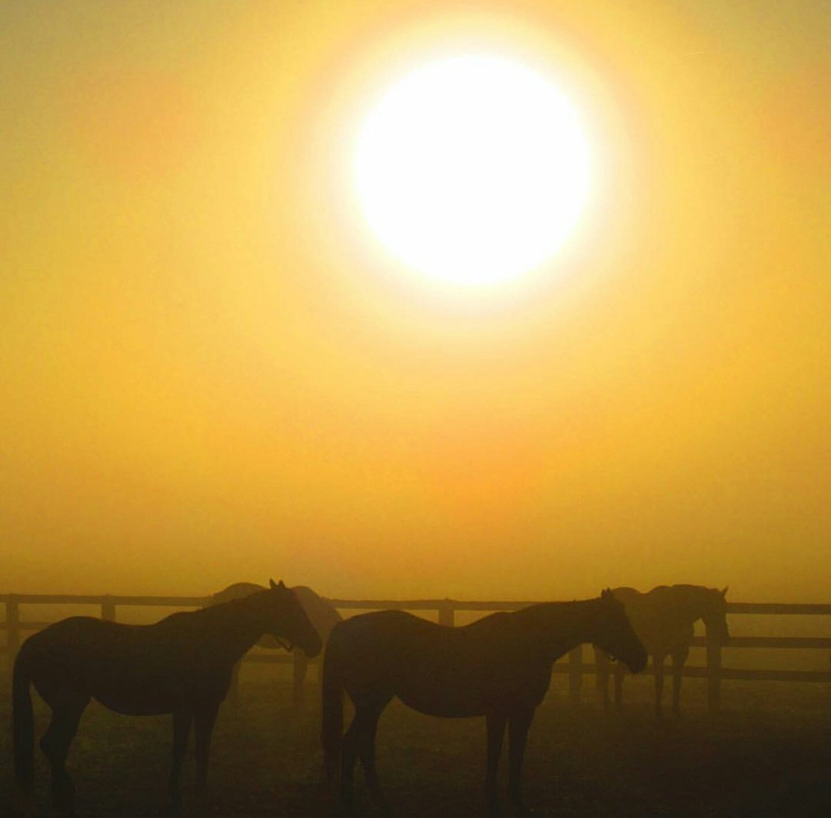 KentuckyTourism's tweet image. Good Morning from #Midway #Kentucky! Photo by @in10seu4ia #TravelKy