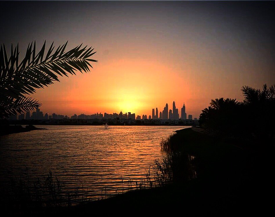 Harriet Ellison (@hattz2907) on Twitter photo 