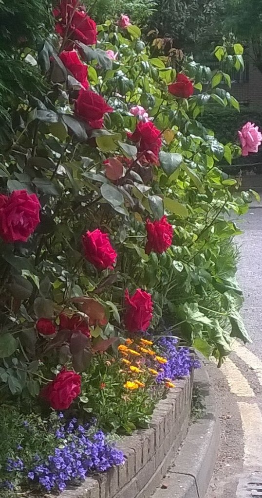 Haddonhall TMO tweet media
