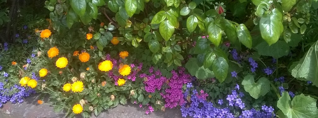 Haddonhall TMO tweet media