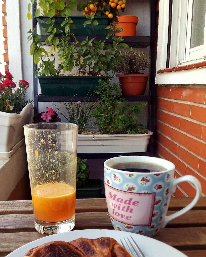 persemoon's tweet photo. Desayunos con vistas al mini huerto/jardín 😍😍 Reconciliándome con mi galería 😉 #desayuno #relax #disfrutando #enmic… https://t.co/mSMekdHUxv