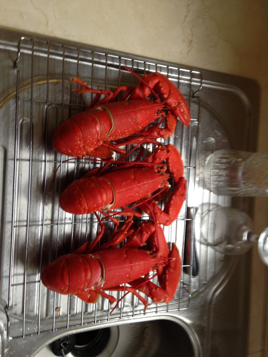 TuckeysFoods's tweet photo. Best way to eat lobster - out of the sea and into the pan and onto the plate. Proper lobster https://t.co/DTzYknxJLS