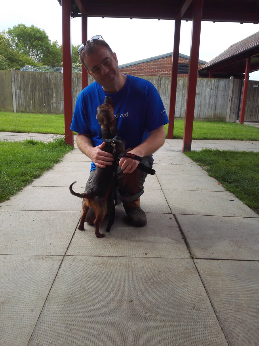 themercernator's tweet photo. Went to @RSPCA_official BlackBerry Farm Rehoming Centre for GCSD, where I met John. #IntelSecGives #IamIntel https://t.co/lO8pjdx3Ot