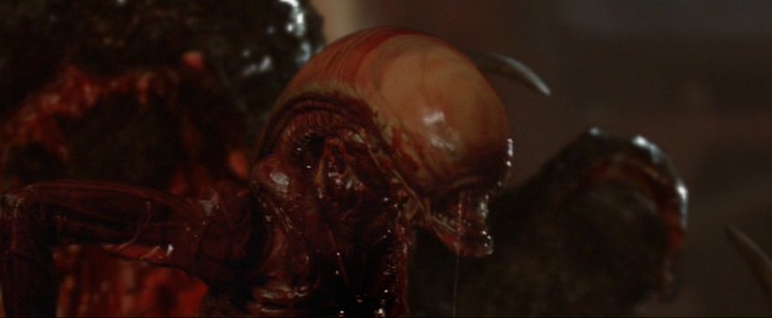 Kurotana Twitterissa あたい エイリアン3のこの死と誕生の相対する場面が好きで 鼻血出すリプリーも好き このシーンの為だけにニュートとヒックスが死んだ価値はあると勝手に思っている そもそも3肯定派が少数だけど T Co vv7vngnx Twitter