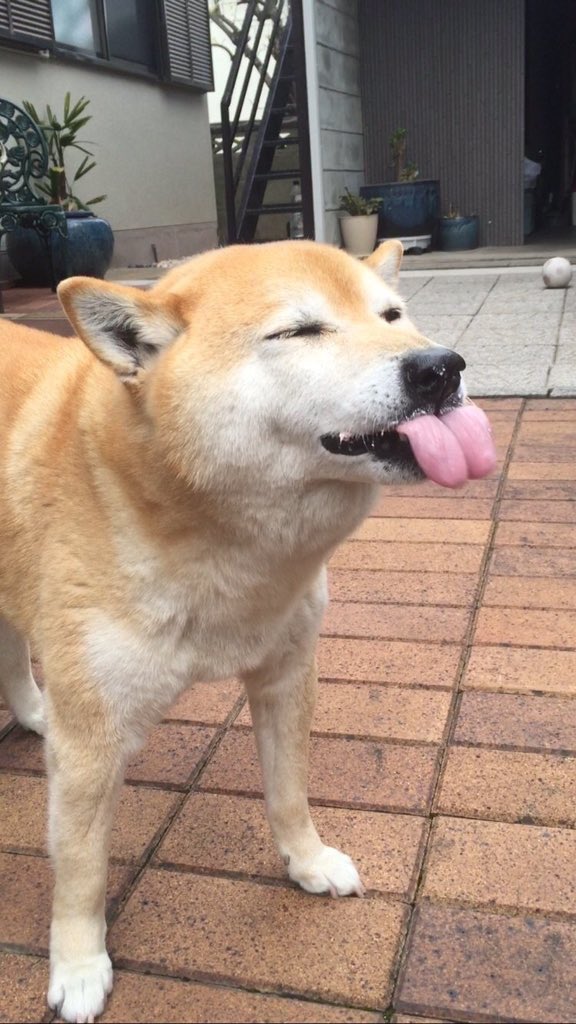 *judgmental la friend questions your meal choice* "should you rly be eating that" ...yes bish i should