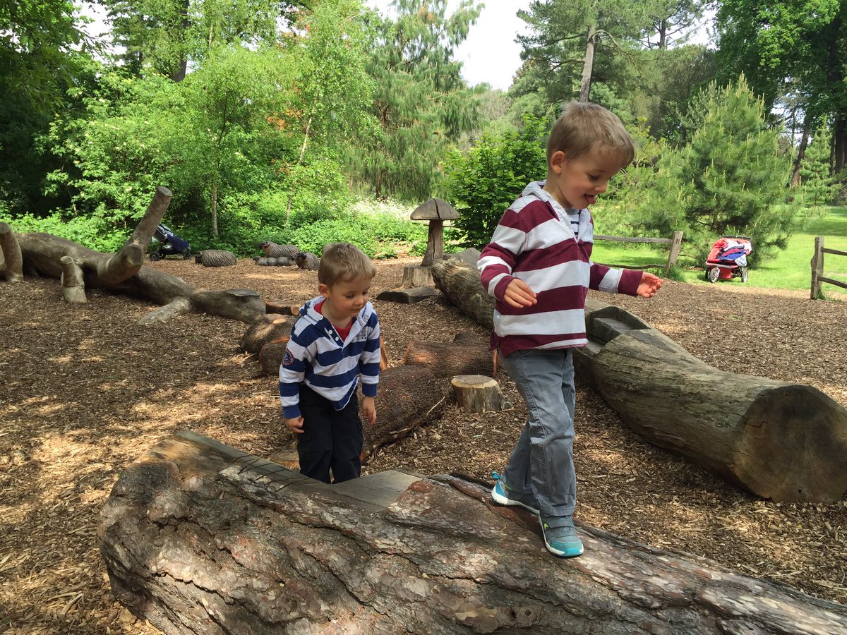 ASDoubletrouble's tweet photo. Thanks @kewgardens for helping kids build core strength whilst having FUN! #logwalk #yesifelloff https://t.co/ijELDjTnLX