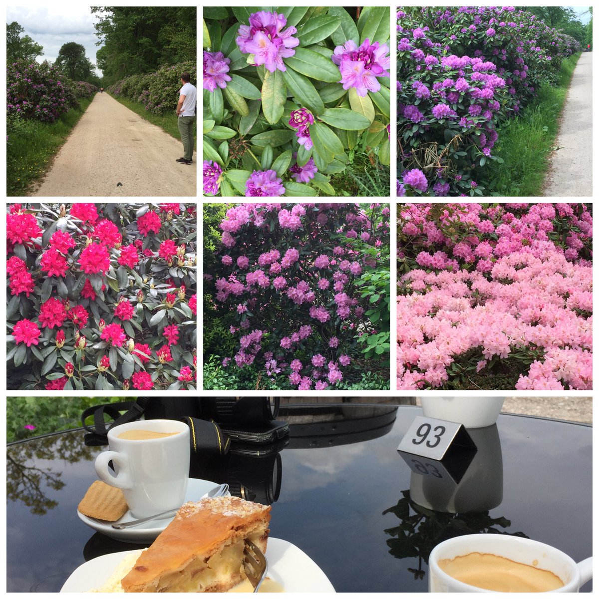 Life is good. #rhododendronlaan @WilmersbergNL met de liefste <a href="/RobertKooij65/">Robert Kooij</a> #genieten