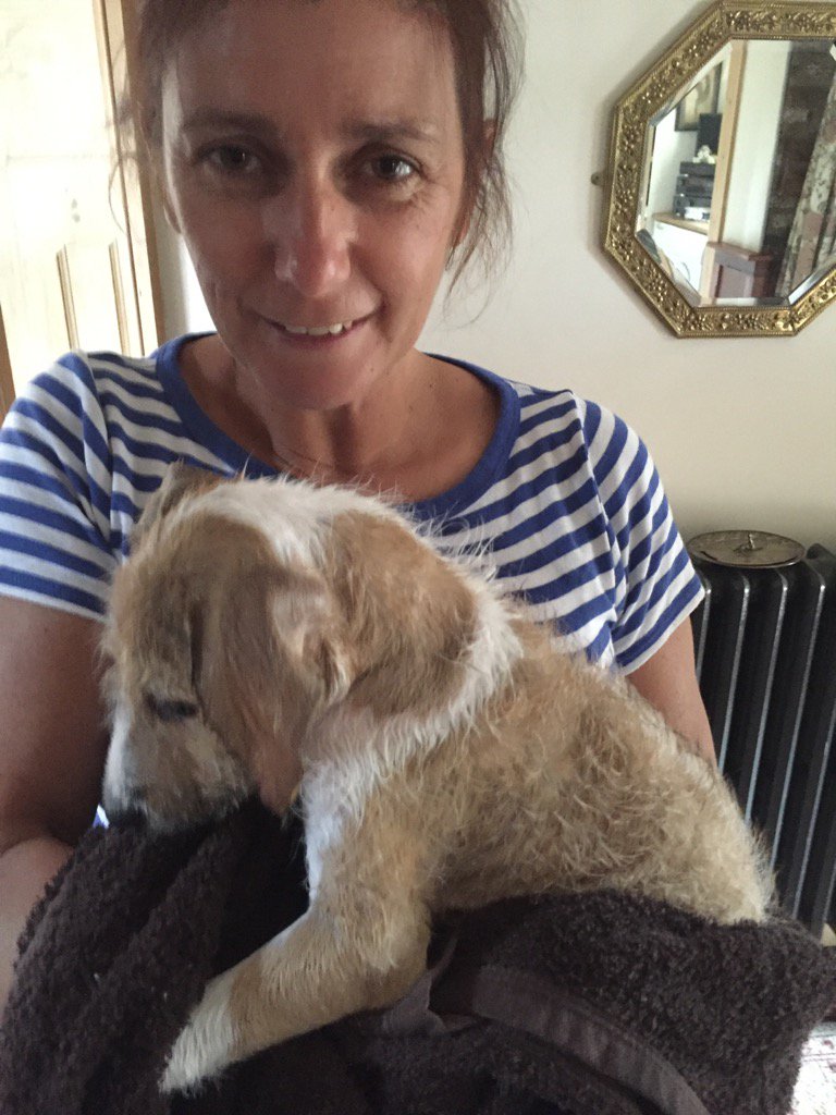 JamieWadge's tweet photo. Tommys first bath! #nothappychappy https://t.co/xXm9TybVXD