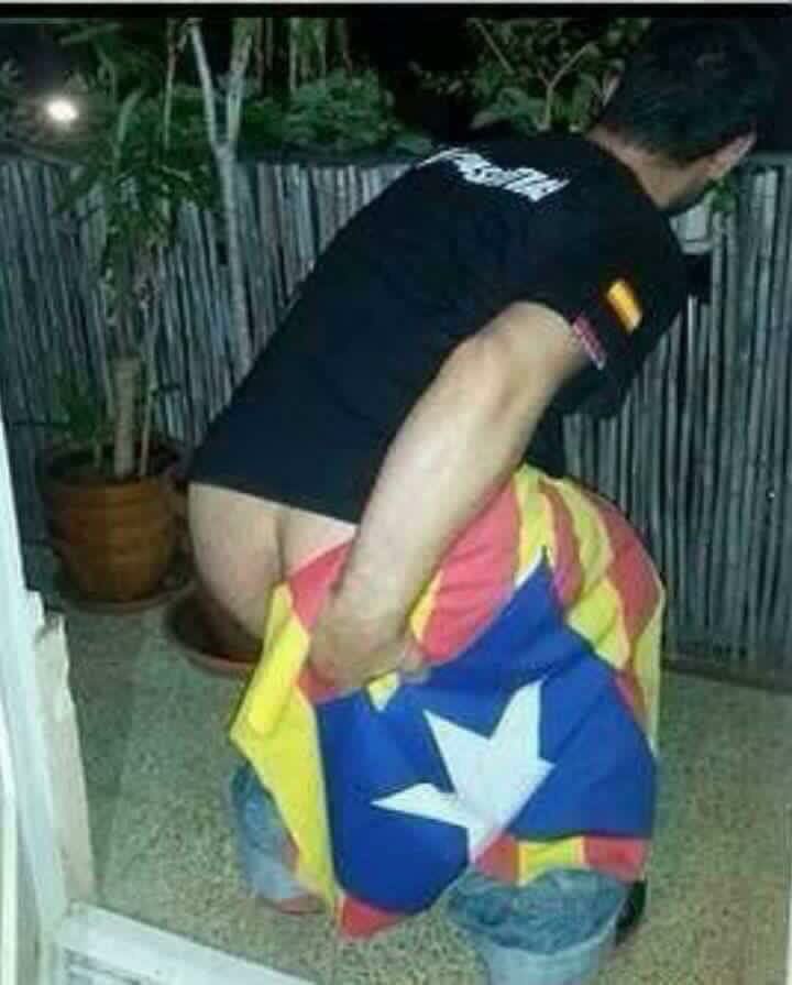 TJusticiero's tweet photo. Es la mejor foto que habeis visto en mucho tiempo y lo sabeis https://t.co/g7XPhEDUU2