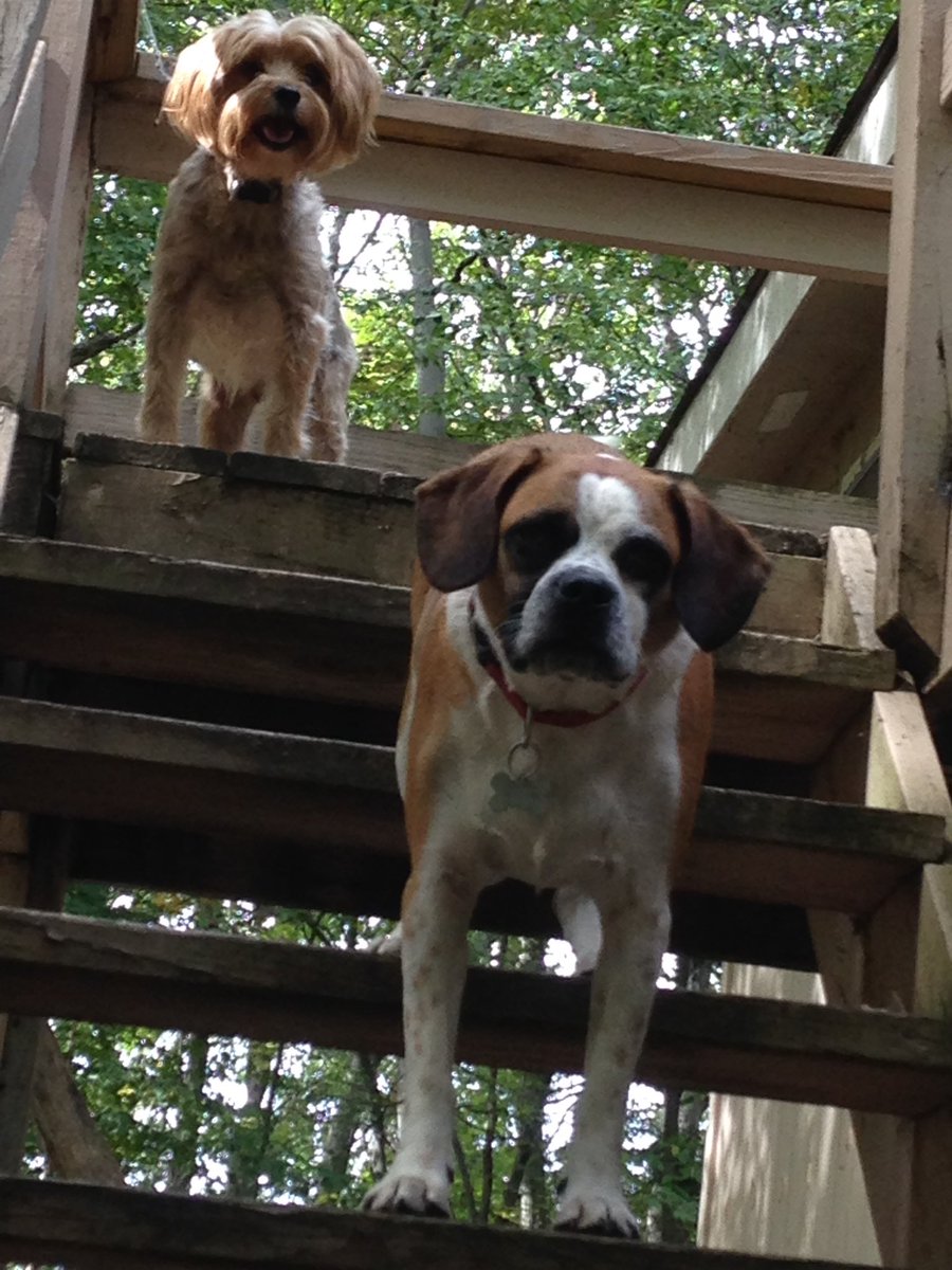 Sherrill Echtle tweet media