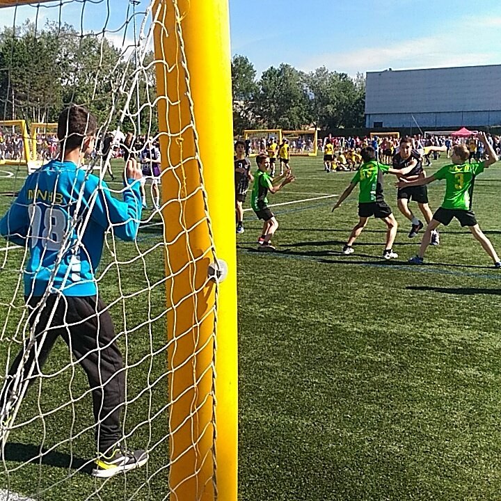 Carros Handball Club tweet media