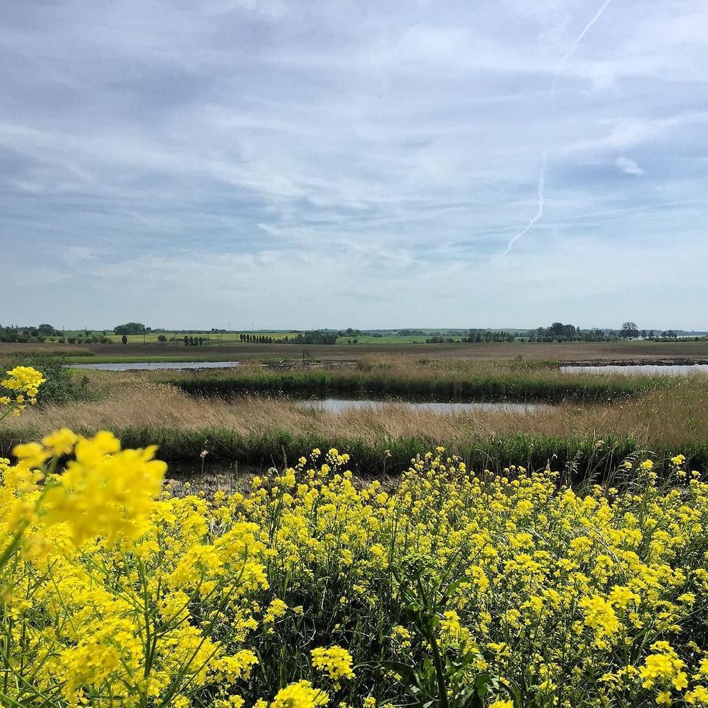 visityDE's tweet photo. Naturerlebnis #Uckermark #visity #visitbrandenburg https://t.co/jURbZ3pFsh