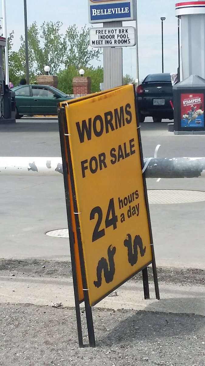 Jam_Thom's tweet image. I wonder how the worm farm looks like...