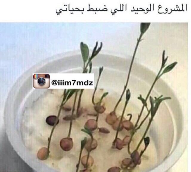 T_H_8_8's tweet photo. ومازلت راضي بلي قدمته 🙇🏻🌿🍀 https://t.co/0kTbvHfB4y