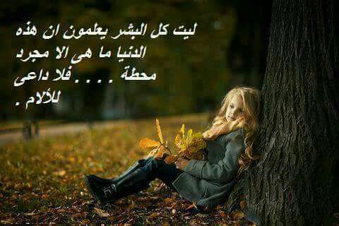 شهد علي (@zhra246381) on Twitter photo 