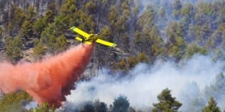 airtractoreurop's tweet photo. Air Tractor 802 F actuando en #ifmariola https://t.co/nT3sf41x8c