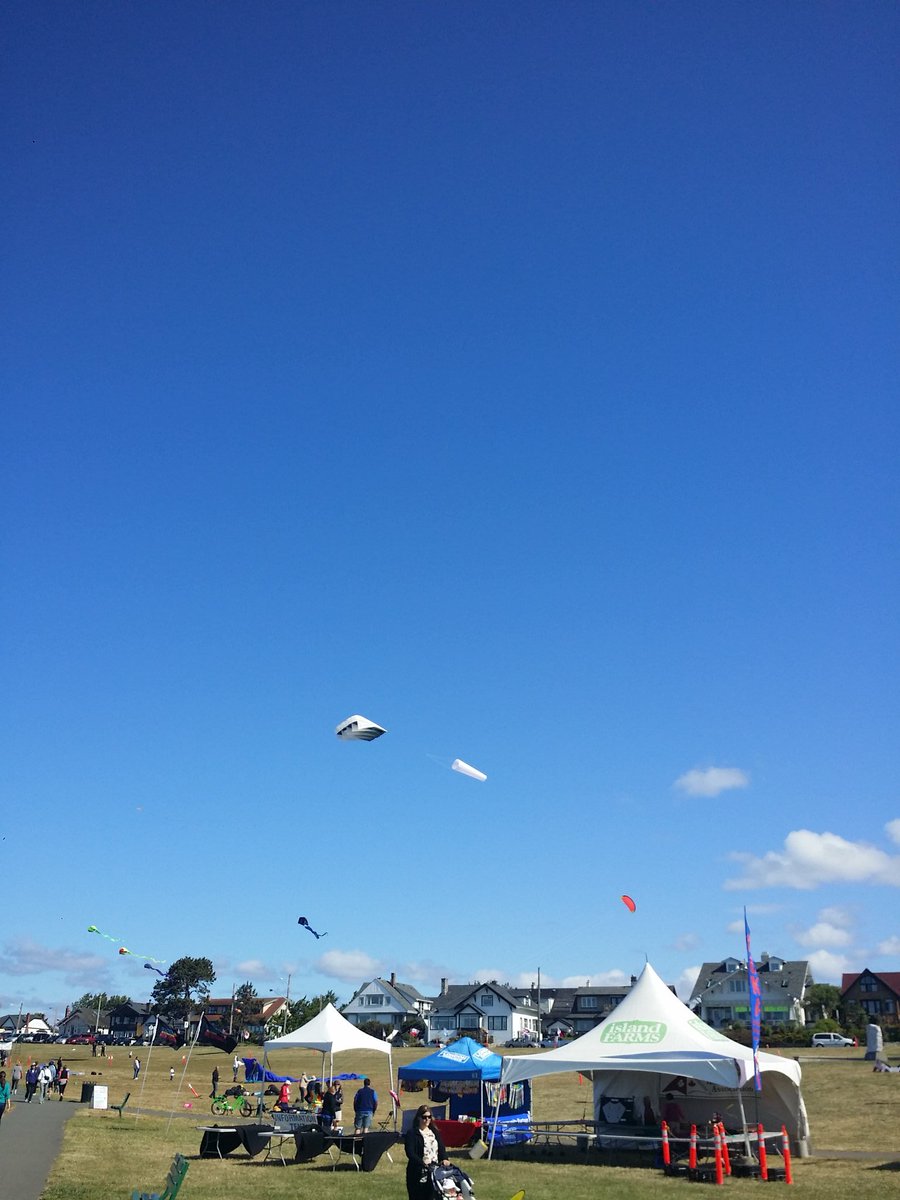 Just a perfect day for kite flying at Clover Point! #yyj
