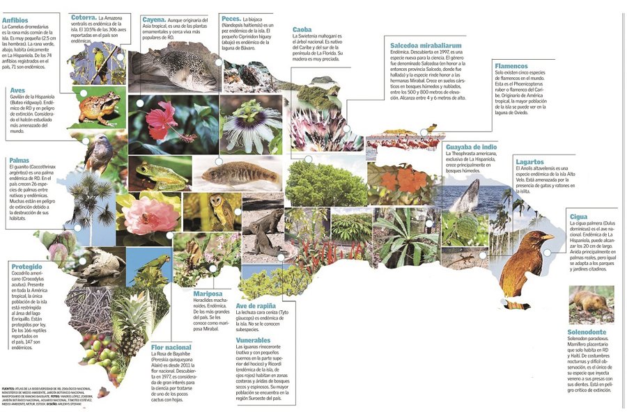 No dejes de ver el mapa de la diversidad biológica de #RD, va desde aves a anfibios listindiario.com/la-vida/2016/0…