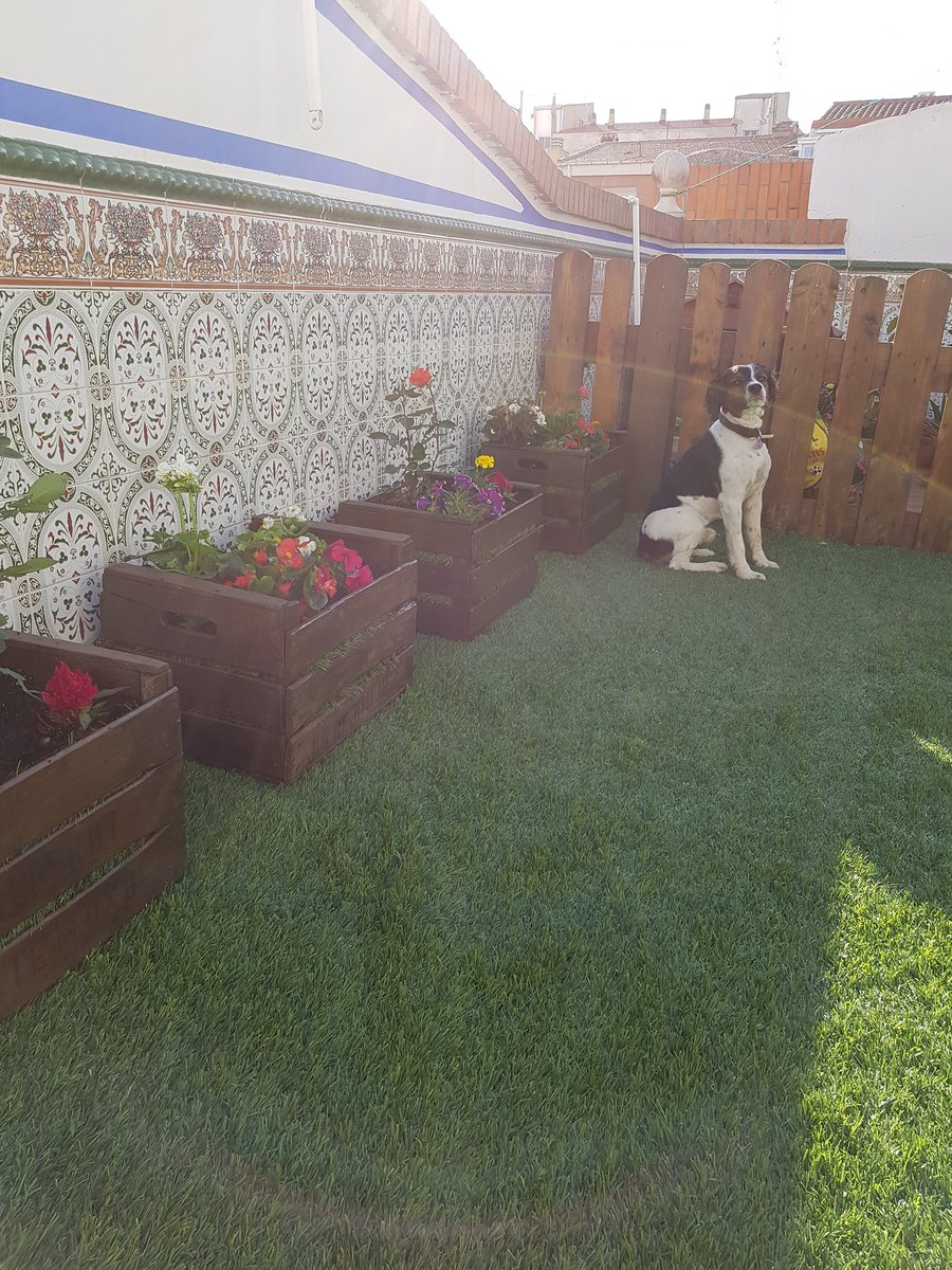 JoxMcCartney's tweet photo. Domingo de jardinería con mi mami! https://t.co/qKfqssrdMJ