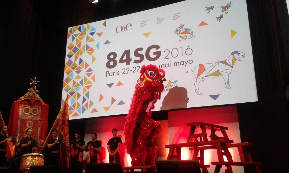 WOAH's tweet photo. The #OIE84SG has just opened with a Lions’ dance, show performed by the #PakMei Association https://t.co/ZH6Ggqg5Ke