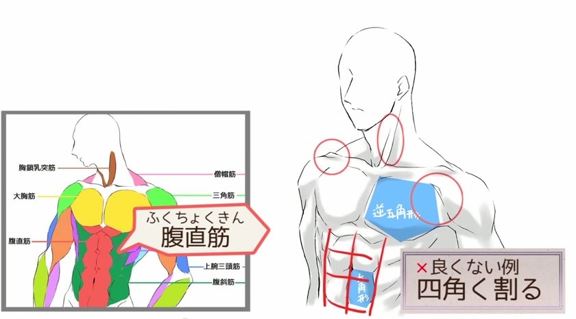 いちあっぷ By Mugenup クリエイティブ制作会社 V Twitter 大胸筋と腹筋の描き方 スジだけ描いても細マッチョにはならない 上半身の筋肉の描き方講座 いちあっぷ講座 T Co F6zkvj95se いちあっぷ By Mugenup クリエイティブ制作会社 V Twitter 大胸筋と腹筋の描き方 スジだけ描いても細マッチョにはならない 上半身の筋肉の描き方講座 いちあっぷ講座 T Co F6zkvj95se