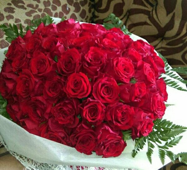 اجمل التهاني التبريكات
من ادارة واعضاء
#قروب_الحسناء_للدعم
لادارة واعضاء
#قروب_كايدهم_للدعم
لوصولهم الترند الف مبروك