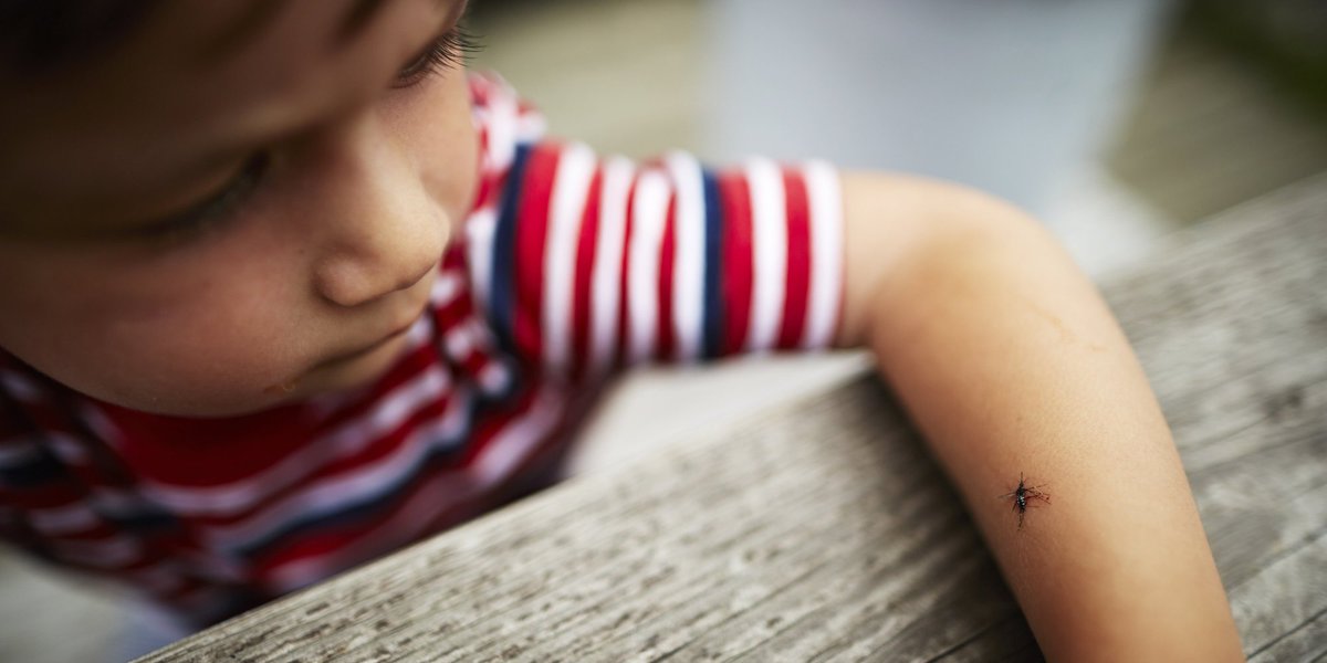 What parents and pregnant women need to know about Zika protection this summer huff.to/1NCGgi2