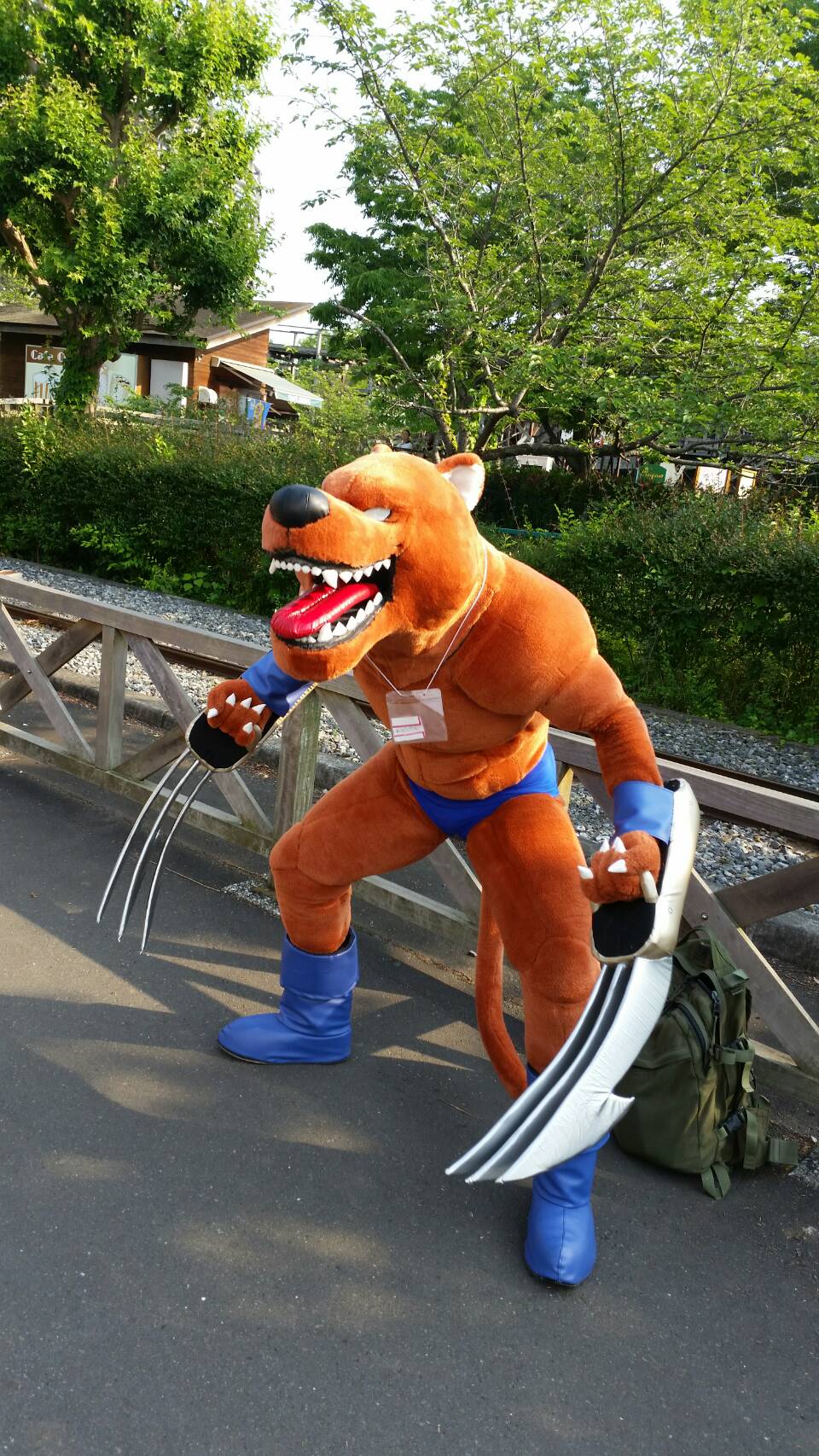 تويتر その他色々 على تويتر Sonotairoiro かくとうパンサーのちゃんとした写真を貰えたので追加 T Co Qllaaejvgt