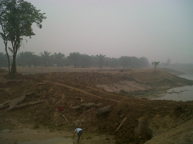 Keserakahan kerap mengancam keberlangsungan hidup di alam ini