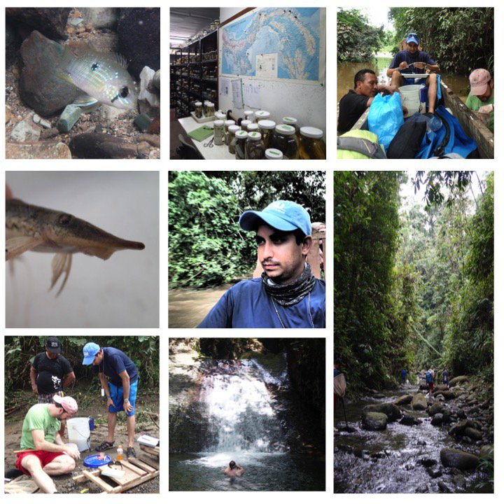 PREAUX_FISH's tweet photo. #ScienceVsScientist for our current fieldtrip in the Darien Panama #PanFish2016 #fieldworkfaceoff https://t.co/UUGlaDZQeV