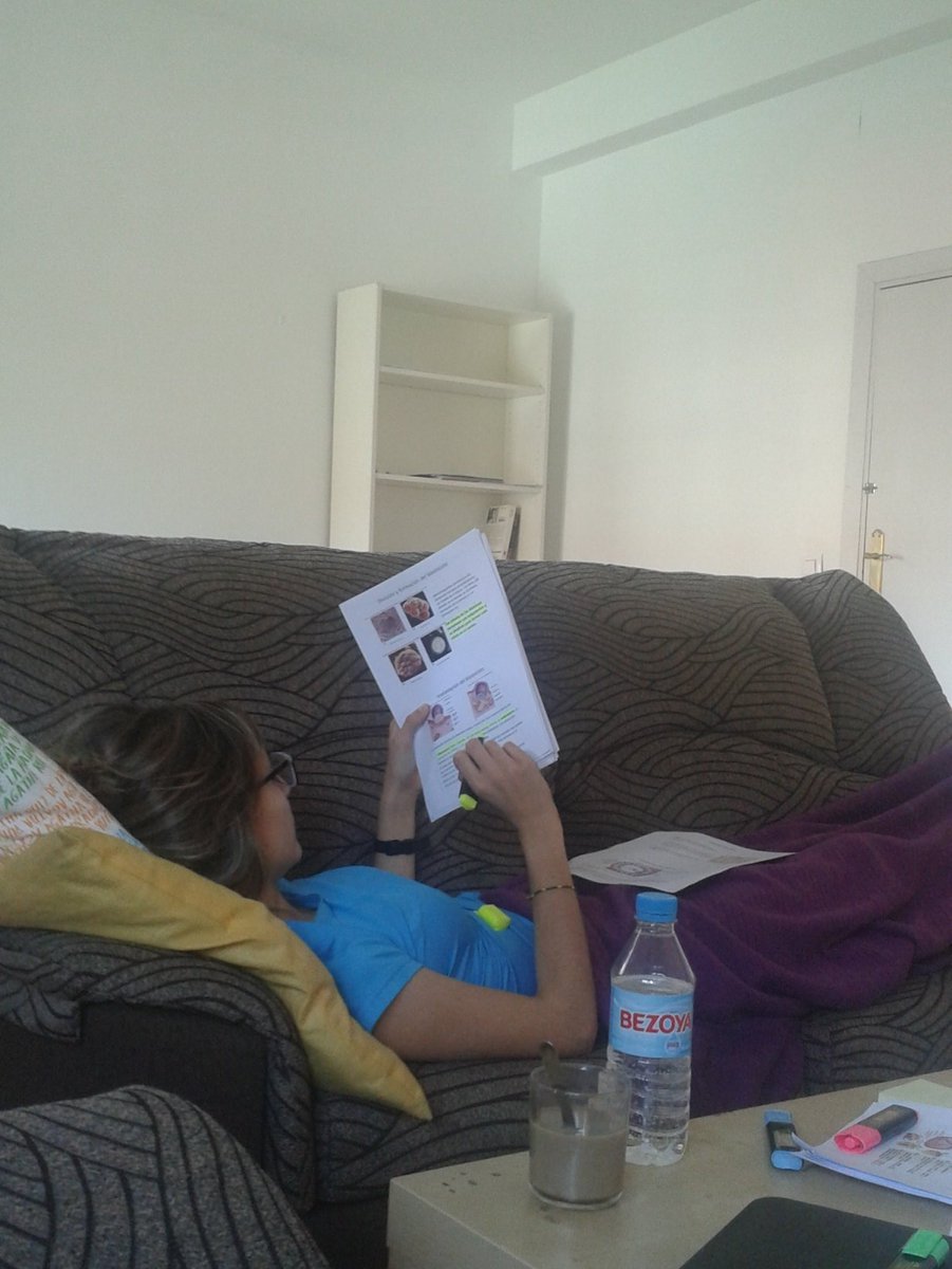 lucia96fg's tweet photo. Y este es el plan para esta tarde 😫😫😫📚📚@albavallelado Queremos terminar yaa! 🙄 https://t.co/crjJOZFXRK