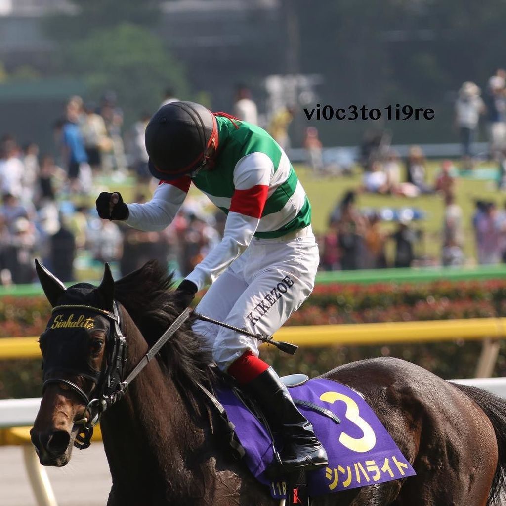 vi0c3to1i9re's tweet photo. 2016オークス ウイニングラン
勝ち馬:シンハライト
ジョッキー:池添謙一
#オークス #シンハライト
#sinhalite #池添謙一
#kenichiikezoe #東京競馬場 #tokyoracecourse https://t.co/gDdG9kVixv