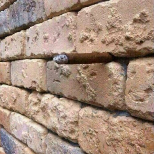 NeocryptOG's tweet image. 